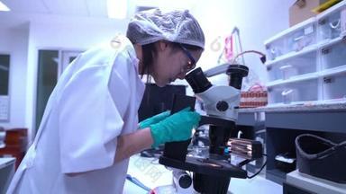 在实验室工作和研究以寻找实验结果的亚洲科学家